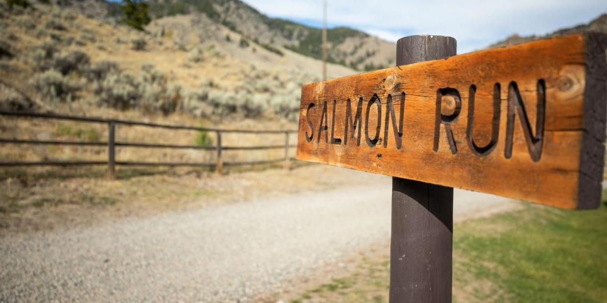 Villa Twin Peaks Guest Ranch Salmon Exterior foto